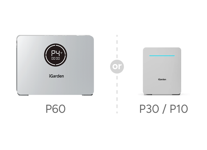 Power Box